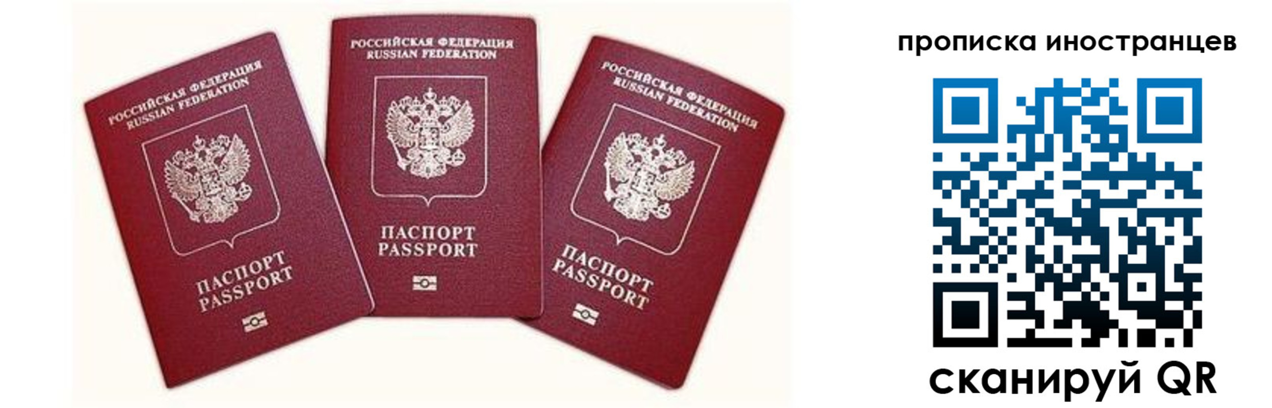прописка в Алексеевке