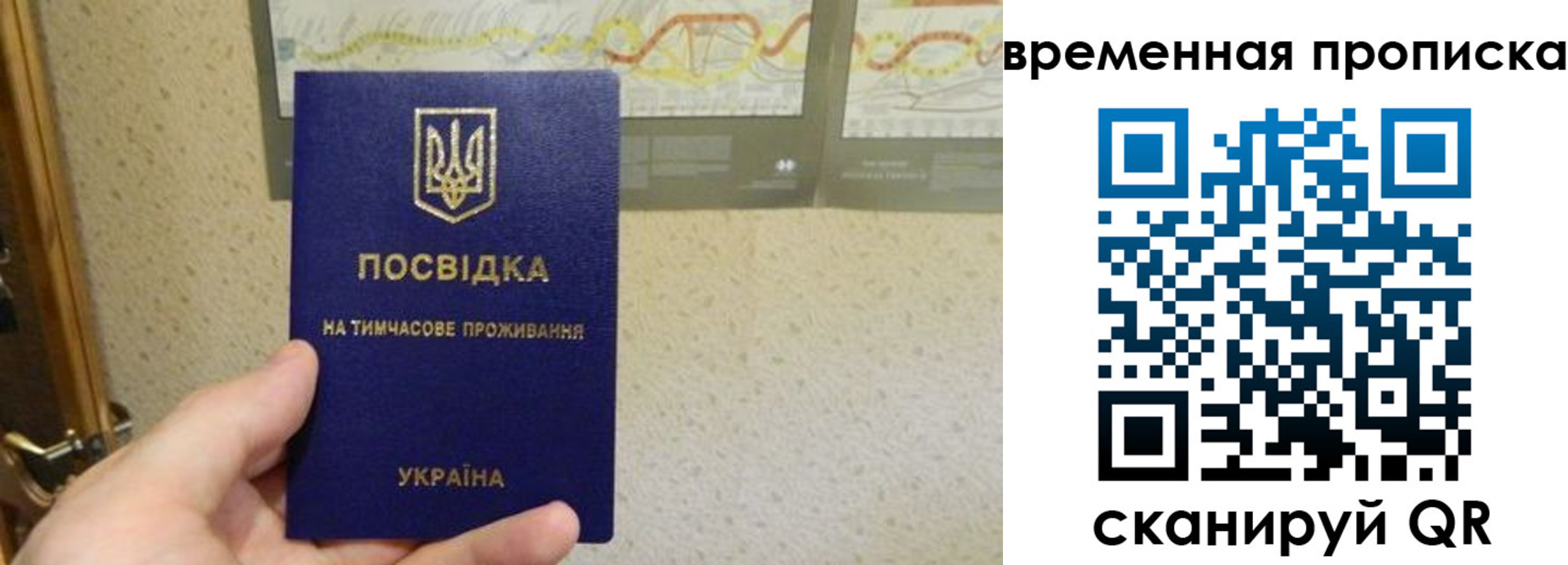 прописка для кредита в Алексеевке